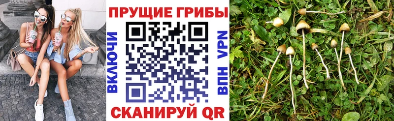 Галлюциногенные грибы Magic Shrooms Лиски
