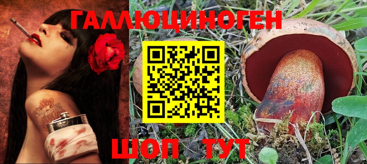 где купить наркоту  Вход с VPN  Лиски  Псилоцибиновые грибы Psilocybine cubensis 